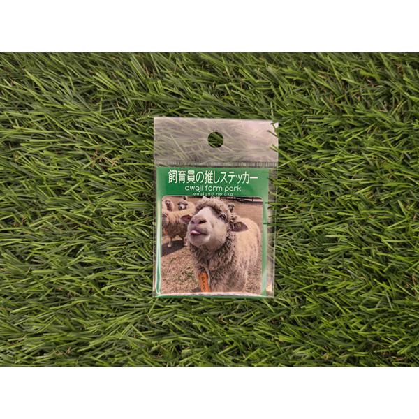 当園飼育員にしか見ることのできない、心を許した愛らしい動物たちの表情を切り取った限定ステッカーです♪当園飼育員の推しの子たちをお楽しみくださいスマホやタブレットのケースなどに挟んだりレイアウトを考えるのも楽しいよお気に入りの子を見つけてねス...