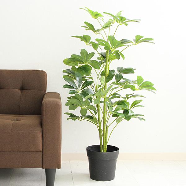 ϗtA tFCNO[ O[  A  CeAK[f CeA  GgX Lb` rO htJmL