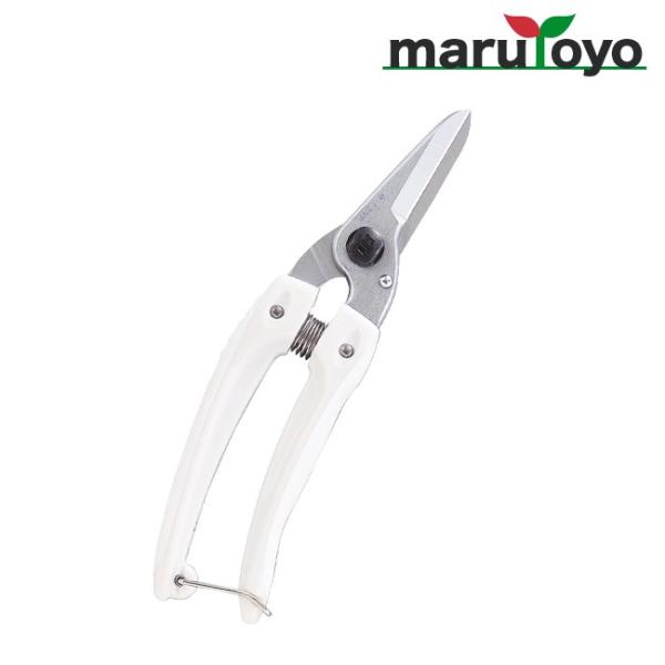 ARS yʁE^ ԁE| t@~[fbNX 140DX