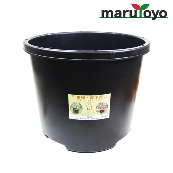 ʎEؗp唫 NP|bg 60 yv^[zyz