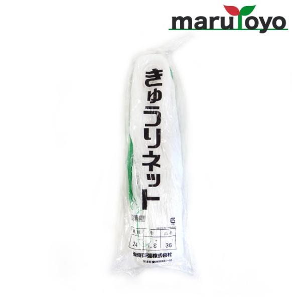 LElbg 24cmH 1.8m×36m y|lbgzyイzyƒ؉zy_Ɓzy́zylbgzy鐫Az