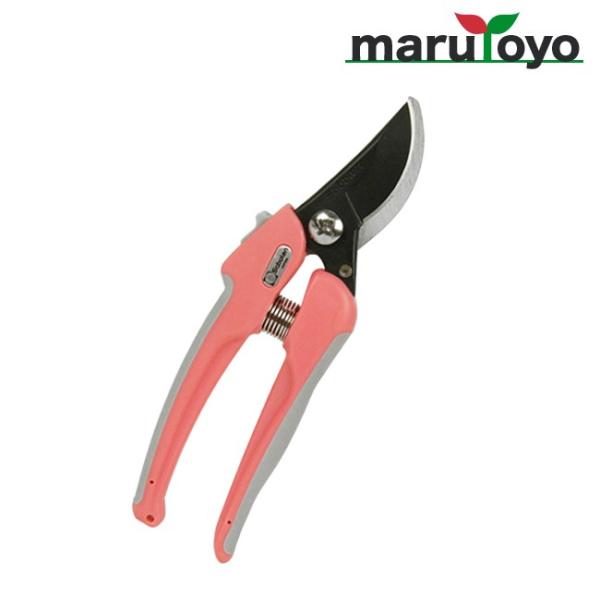 saboten GA[NbVnh nT~ 180mm No.P-32