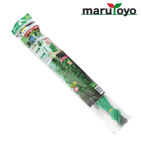 ΂̃J[e 5m݉^Cv Ch800mm