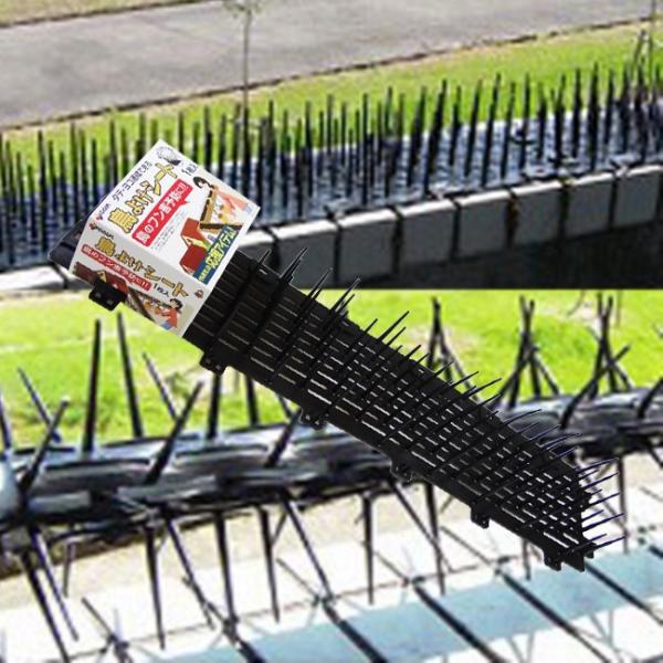 悯V[g 1 yhzyhzyhԁzyhlbgzy悯zyQ΍zy쏜zyhObYz