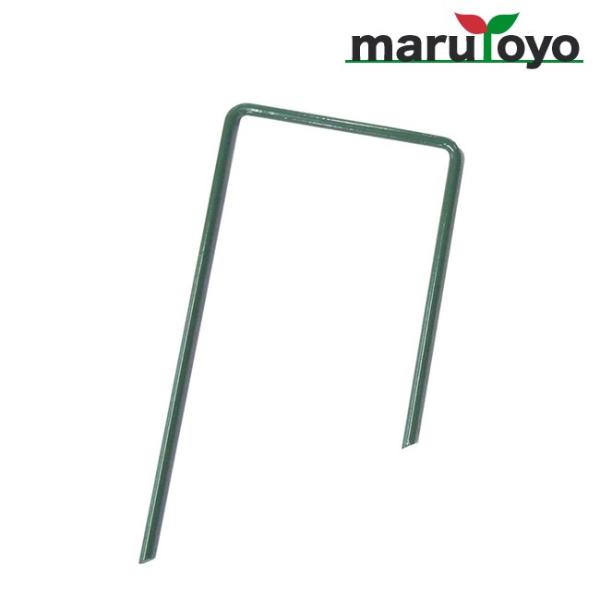 lHŉs@50{Zbg@60mm×13cmyԒdzyzy|zylHŁzysz