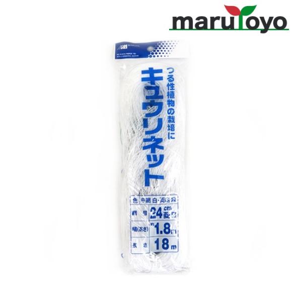 LElbg 24cmH 1.8×18 y|lbgzyイzyƒ؉zy_Ɓzy́zylbgzy鐫Az