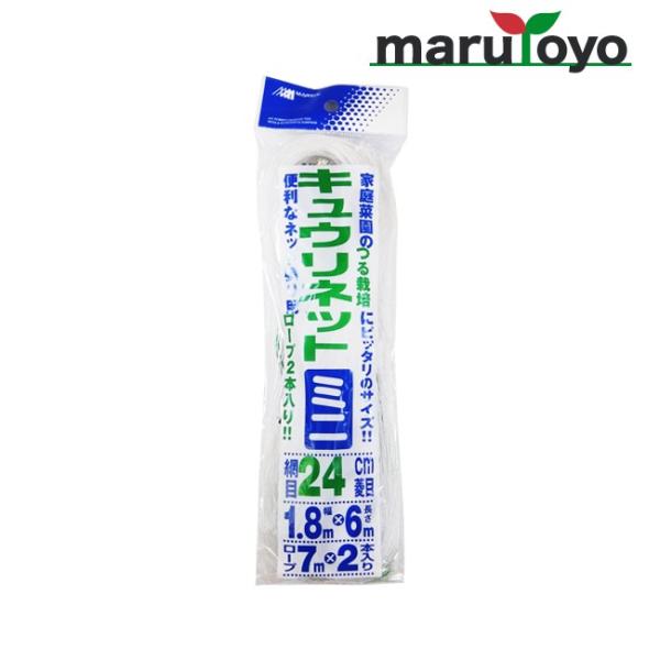 LElbg ~j 24cmH 1.8m×6m y|lbgzyイzyƒ؉zy_Ɓzy́zylbgzy鐫Az