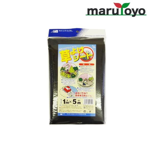 悯V[g 1m×5m y悯zyhzyV[gzyhV[gzyGV[gzyV[gzyOhV[gzyGzyG΍zyGh~z