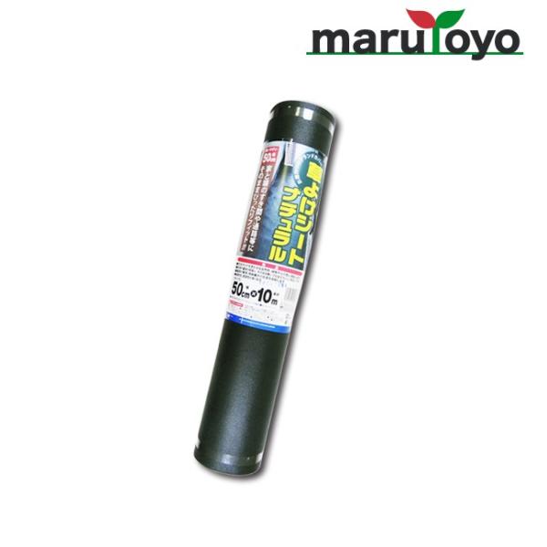 悯V[g i` 50cm×10m XO[F y悯zyhzyhV[gzyGV[gzyV[gzyGzyG΍zyGh~z