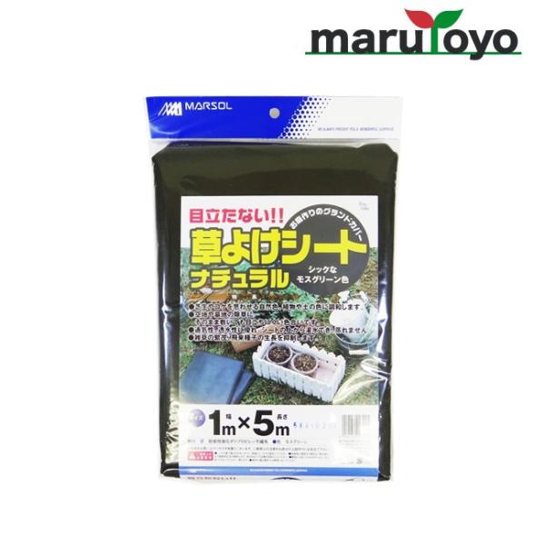 悯V[gi` 1m×5m VbNȃXO[F y悯zyhzyhV[gzyGV[gzyV[gzyGzyG΍zyGh~z