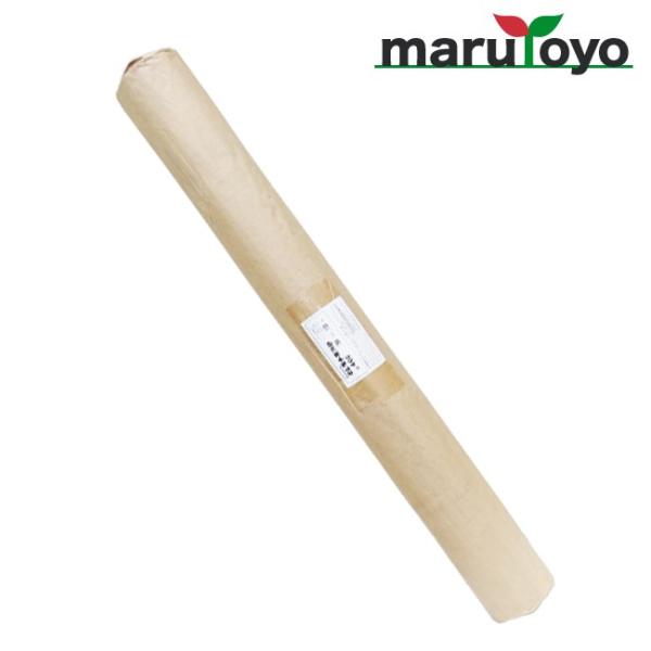 Ni  1.8×100m Ռ22% zCg #300 yzyhzyۉzyhzyՌzyhzyhzyhzyh~z