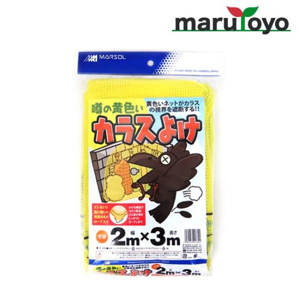 \̉FJX悯 4mmp 2m×3m CG[ yJXzyJXlbgzyJX΍zyhzyhԁzy悯zyQ΍zy쏜zyS~lbgz