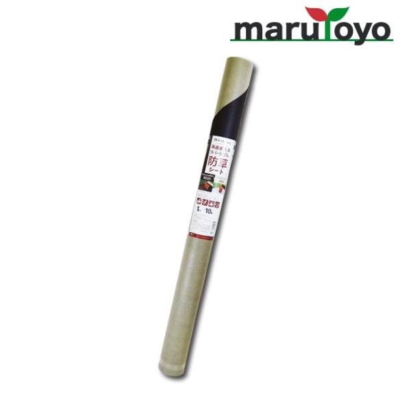 ʎg o[Vu hV[g 1m×10m ueBbVuE×Thx[W y悯V[gzyhV[gzyGV[gzyGzyG΍z