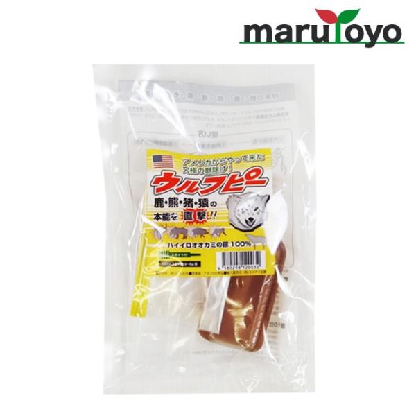 Ets[ 100cc nCCIIJ~̔A100% yzyCmVVzyzyVJzyFzyzyhbzyzy悯zyAj}zyNzyh~z