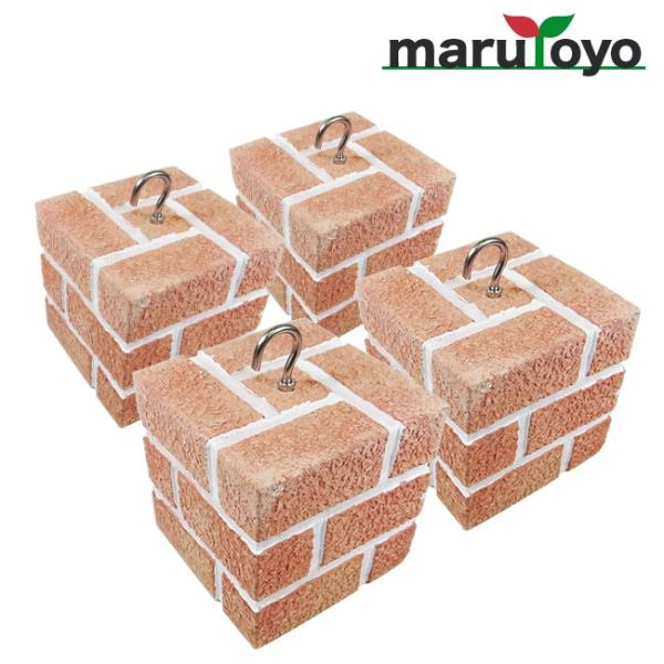 AvRbgEFCg 4Zbgy\EFCgzy֗zy񂽂zydzyzyzyŒzyubNzy悯z