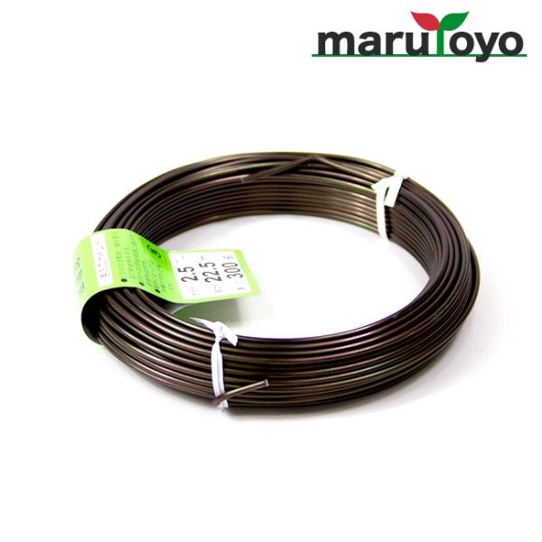 ~͗p A~ J[ 300g 2.5mm [ C[ j ~   H } U ]