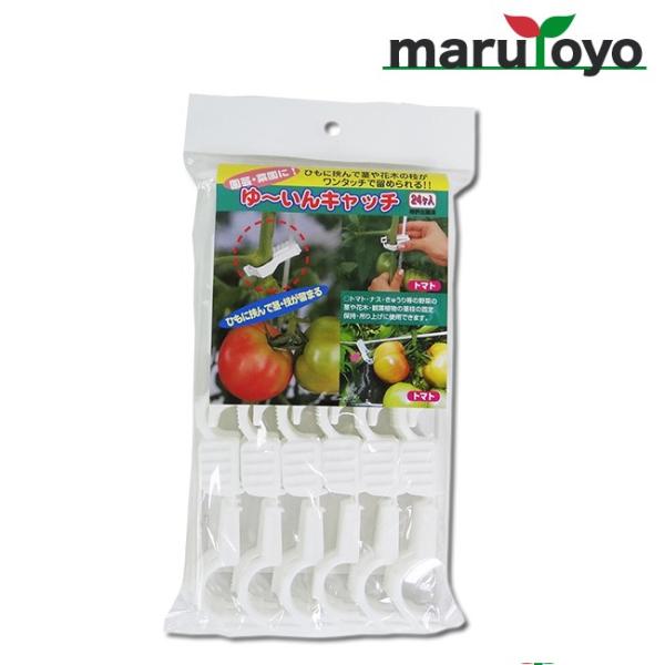 ナス 花 白 Diy 工具の人気商品 通販 価格比較 価格 Com