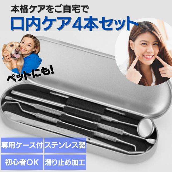 Yahoo!ショッピング 歯石取り部門 ランキングNo.1商品【新品アウトレット品】※こちらの商品は、輸入搬送時に生じた負荷でケースに凹みがある場合があります。内部のツール本体には全く影響なく機能的に問題はありませんが、ご理解ご了承の上、ご...