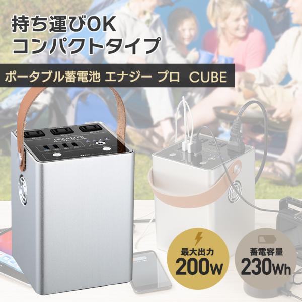 �|�[�^�u���~�d�r�G�i�W�[�v�� LB-230 �~�d�e��230Wh�i63,000mAh�j�ő�o��200W �R���p�N�g �������g�@AC�o�� USB�o�� �y�� ���z���[�d