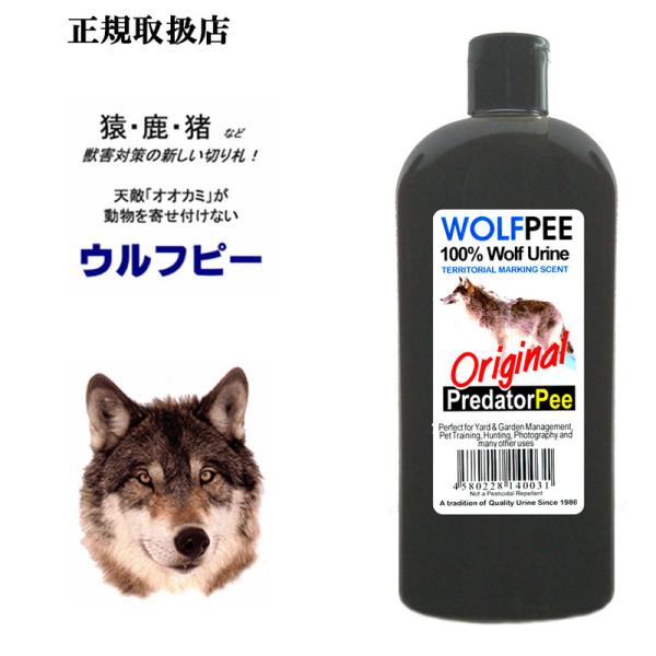 enjoy-tokusenkan_9010001