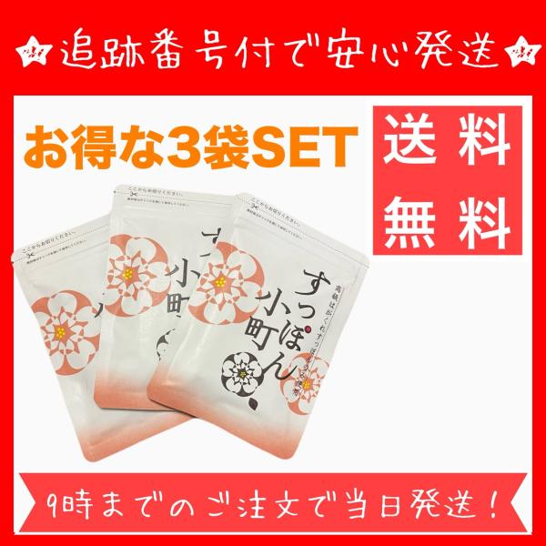 【内容量】62粒（350mg×62、約一か月分）【お召し上がり方】１日２粒を目安に水またはぬるま湯でお飲みください。すっぽん小町 62粒 約1ヵ月分 サプリメント 佐賀県産すっぽん コラーゲン アミノ酸 ていねい通販 国内製造