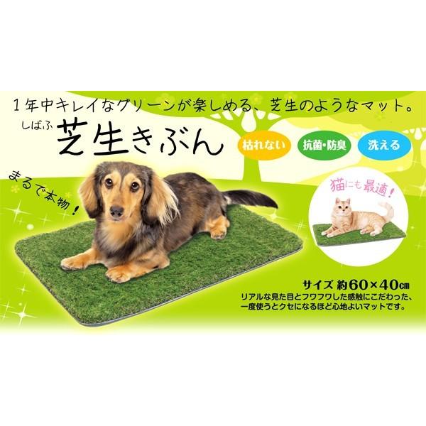 芝生きぶん 犬 猫用 ペット用人口芝生マット ドギーマン Dg8768 円網堂 通販 Yahoo ショッピング