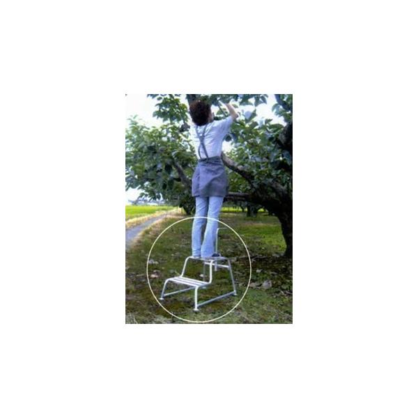 2i蓥ݑ  20-40 2iݑ t A~ y K[fjO _