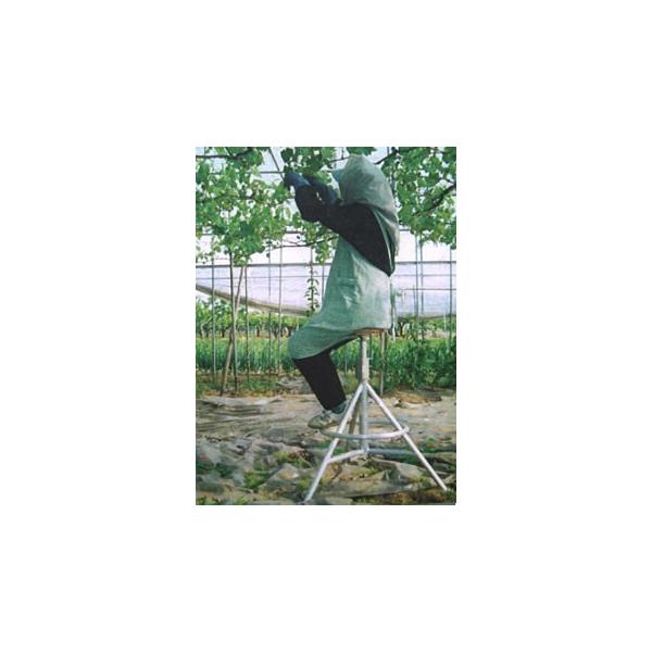 ]CX ڂi KI-2 ] ʍ K[fjO _ ƃCX K[f`FA |֎q | iK