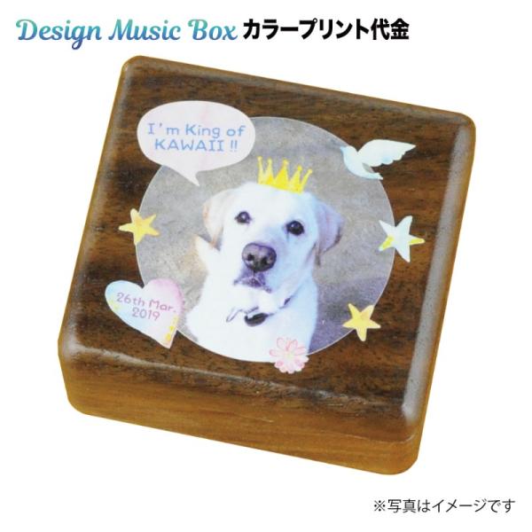 Design Music Boxロゴとサンプル写真