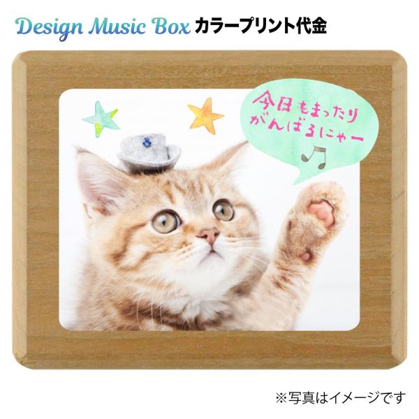 Design Music Boxロゴとサンプル写真