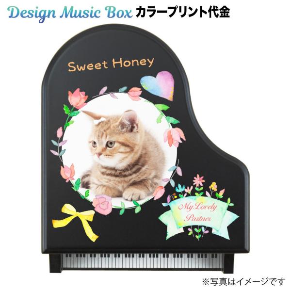 Design Music Box】18弁 木製グランドピアノ型オルゴール(黒 Design Music Box】18弁 木製グランドピアノ型オルゴール(黒