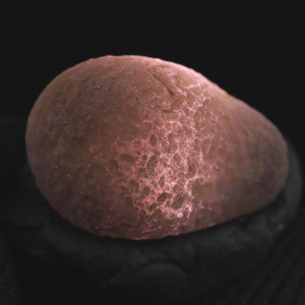 チンターマニ石 チンターマニストーン 原石 7.9g 【榎本通商45226