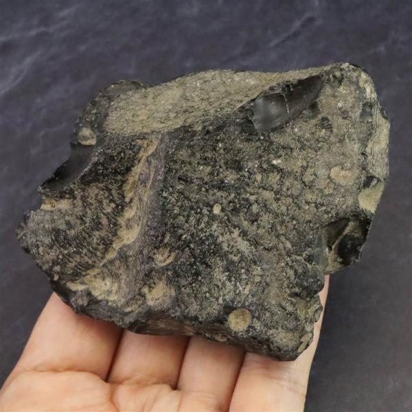 隠岐の島 黒曜石 原石 ディレクトリーカード付 212.1g 【榎本