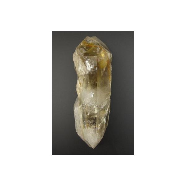 ロシアンレムリアン DT ロシアンレムリアン DT roshianremurian-yuan-shi-