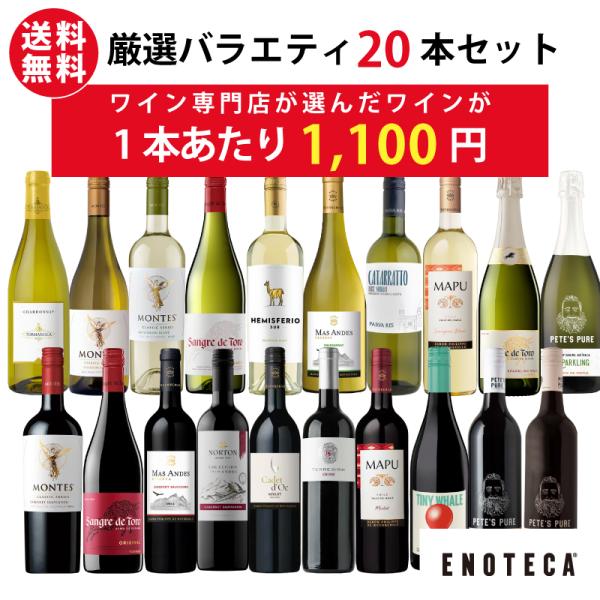 ワイン ワインセット エノテカ 厳選バラエティー20本セット RT9-1 9-2(DMY00RT091C6) [750ml x 20] 送料無料