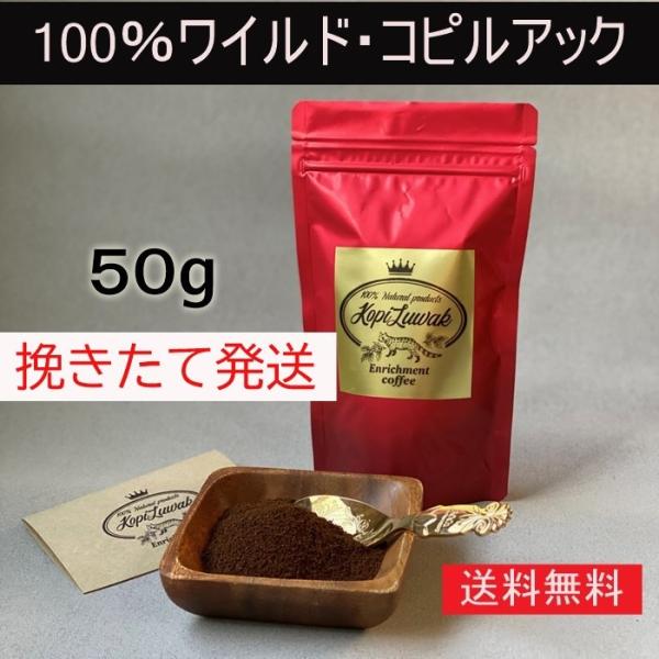 50g 100 ワイルド コピルアック 野生ジャコウネコ コピルアク ジャコウネココーヒーの通販詳細 コピルアックコーヒー通販