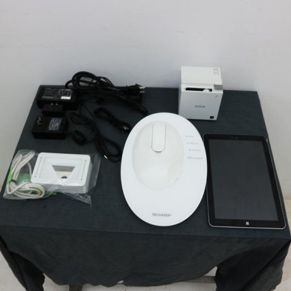 SHARP（シャープ） 体内糖化度測定装置 RQ-AG01J 蓄積 測定 老化 現状 