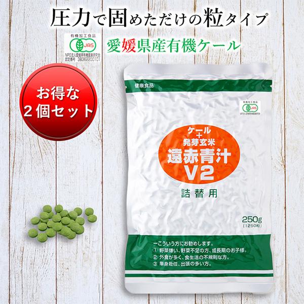 �` ���Y �L�@ �I�[�K�j�b�N ��  ���Ԑ`V2 1250��(�l��) 2�Z�b�g��5%����