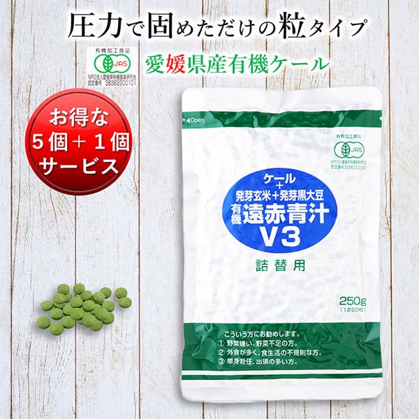 �` ���Y �L�@ �I�[�K�j�b�N ��  ���Ԑ`V3 1250��(�l��) 5�Z�b�g��1�T�[�r�X