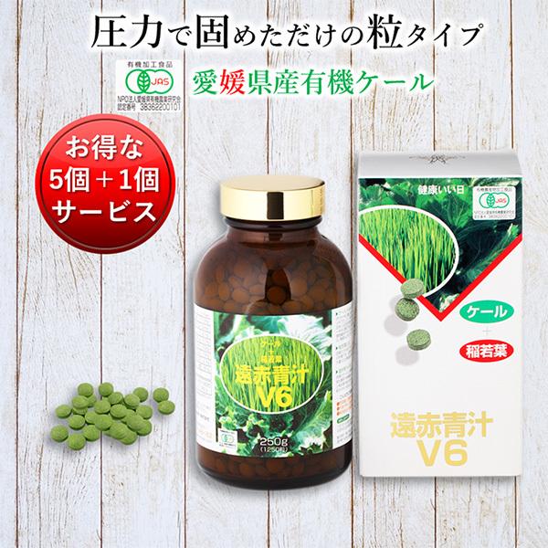 ` Y L@ I[KjbN   Ԑ`V6 1250(r) 5Zbg1T[rX