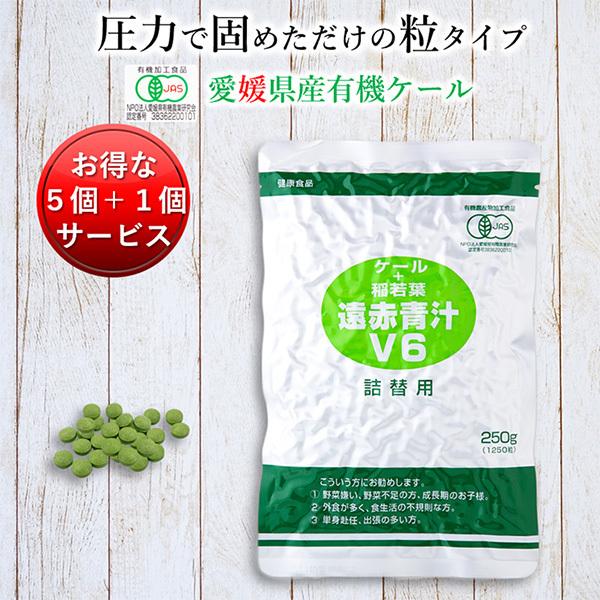 �` ���Y �L�@ �I�[�K�j�b�N ��  ���Ԑ`V6 1250��(�l��) 5�Z�b�g��1�T�[�r�X