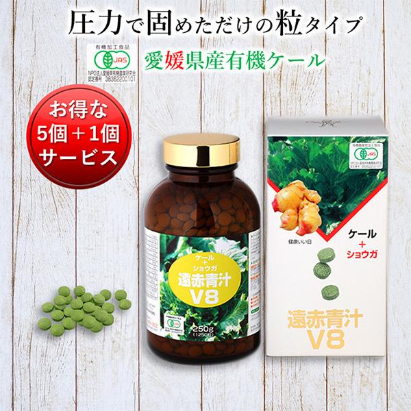 ` Y L@ I[KjbN   Ԑ`V8 1250(r) 5Zbg1T[rX