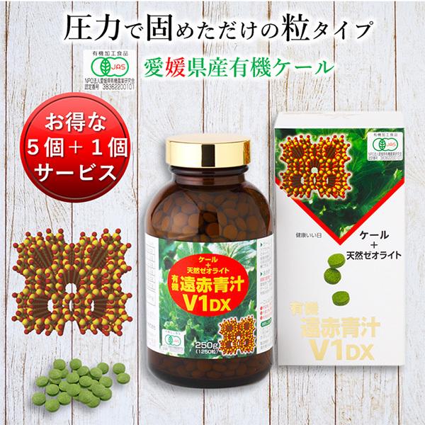 ` Y L@ I[KjbN   [ICg Ԑ`V1 DX 1250 (r) 5Zbg1T[rX