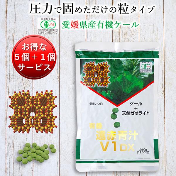 ` Y L@ I[KjbN   [ICg Ԑ`V1 DX 1250 (l) 5Zbg1T[rX