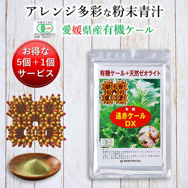 ` Y L@ I[KjbN  [ICg  L@ԃP[ DX 100g 5Zbg1T[rX