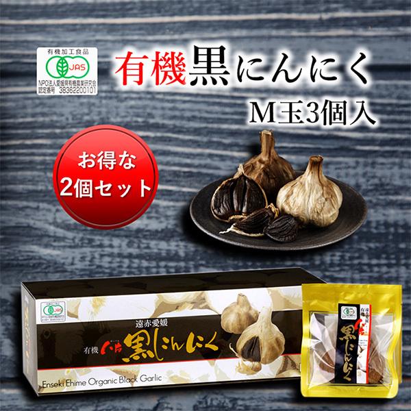 ԈQL@Ѝɂɂ M 3 2Zbgw5