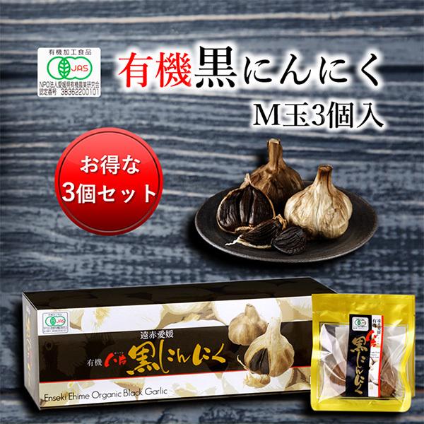 ԈQL@Ѝɂɂ M 3 3Zbgw10