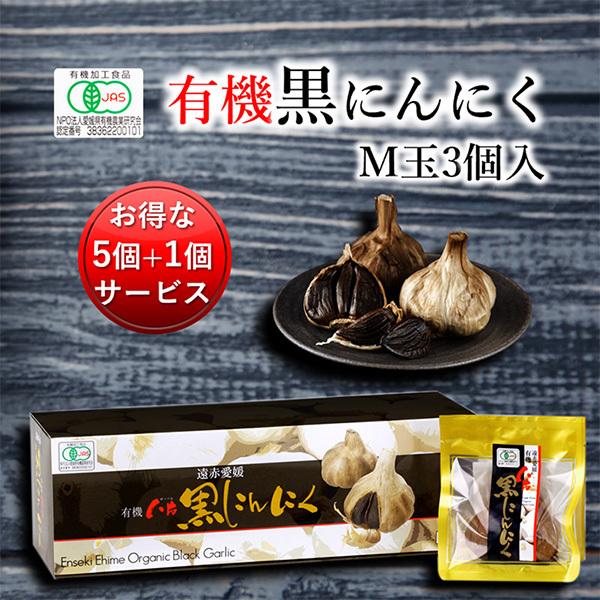 ԈQL@Ѝɂɂ M 3 5Zbgw1T[rX