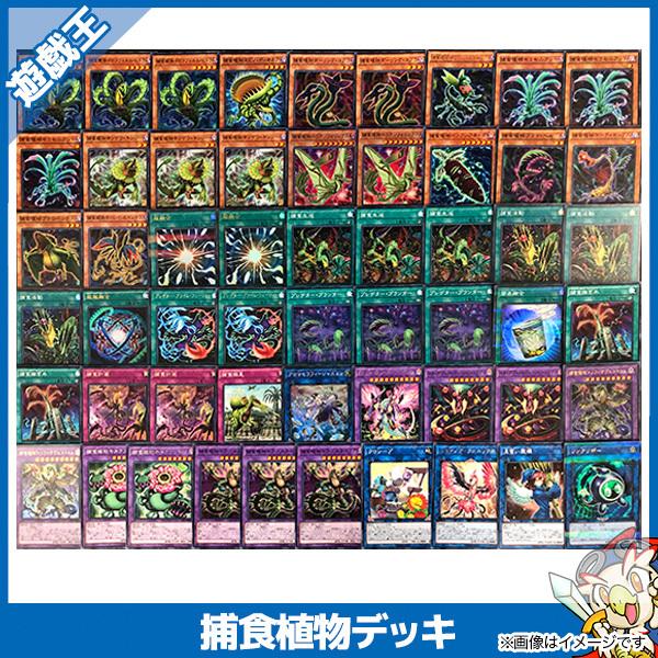 遊戯王カード 捕食植物 構築済みデッキ(40枚+EX15枚 遊戯王カード 捕食植物 構築済みデッキ(40枚+EX15枚