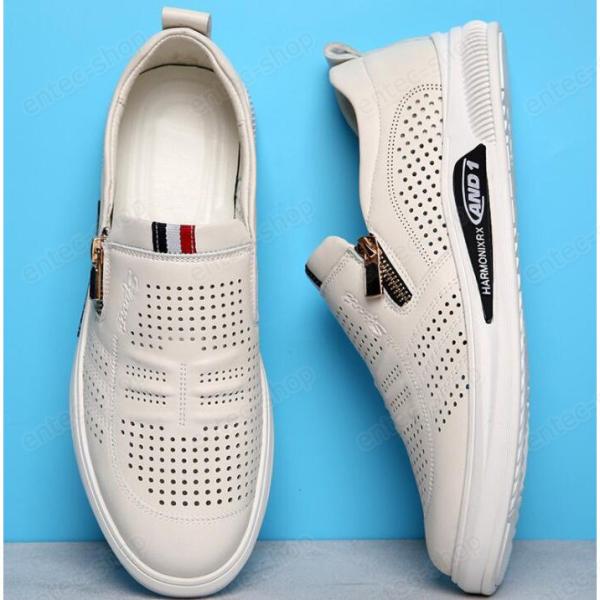 V[NbgV[Y  gAbv6cm up6cm wȂ Y vC rWlXV[Y Xj[J[ Cq[ K JWAV[Y